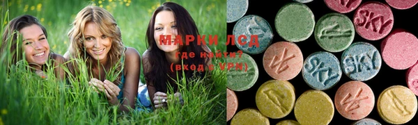 мяу мяу мука Няндома