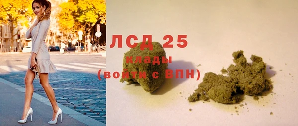 мяу мяу мука Няндома
